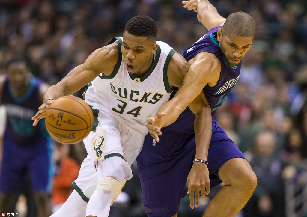 黄蜂擒雄鹿终结其连胜的简单介绍